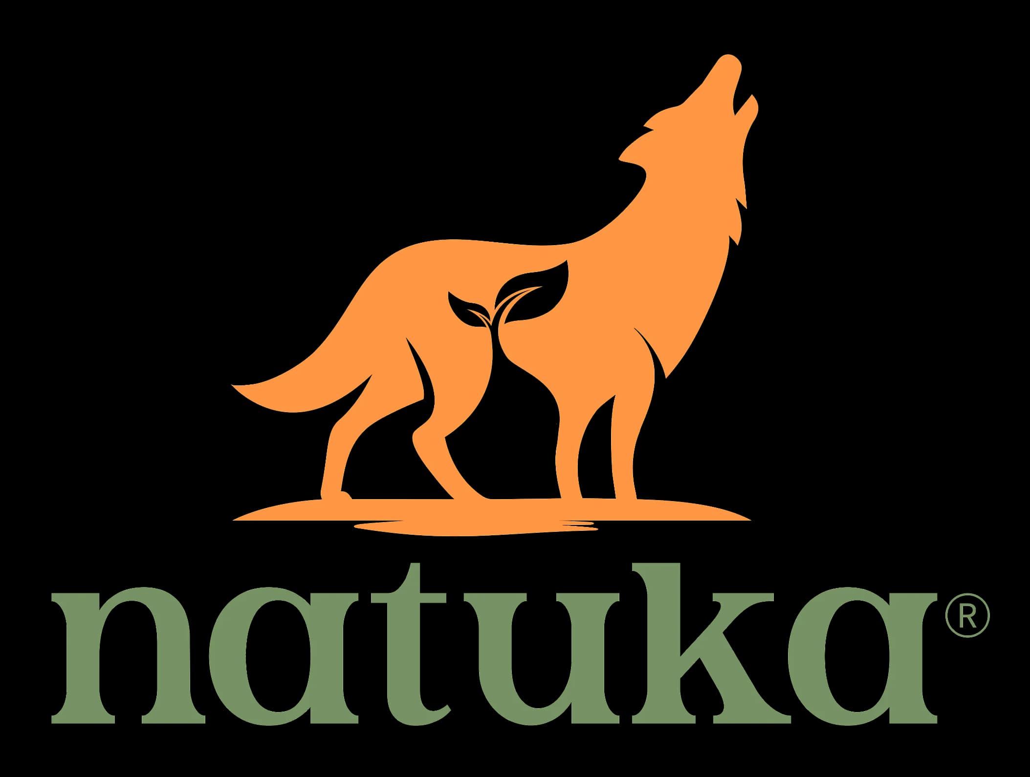 Logo Natuka